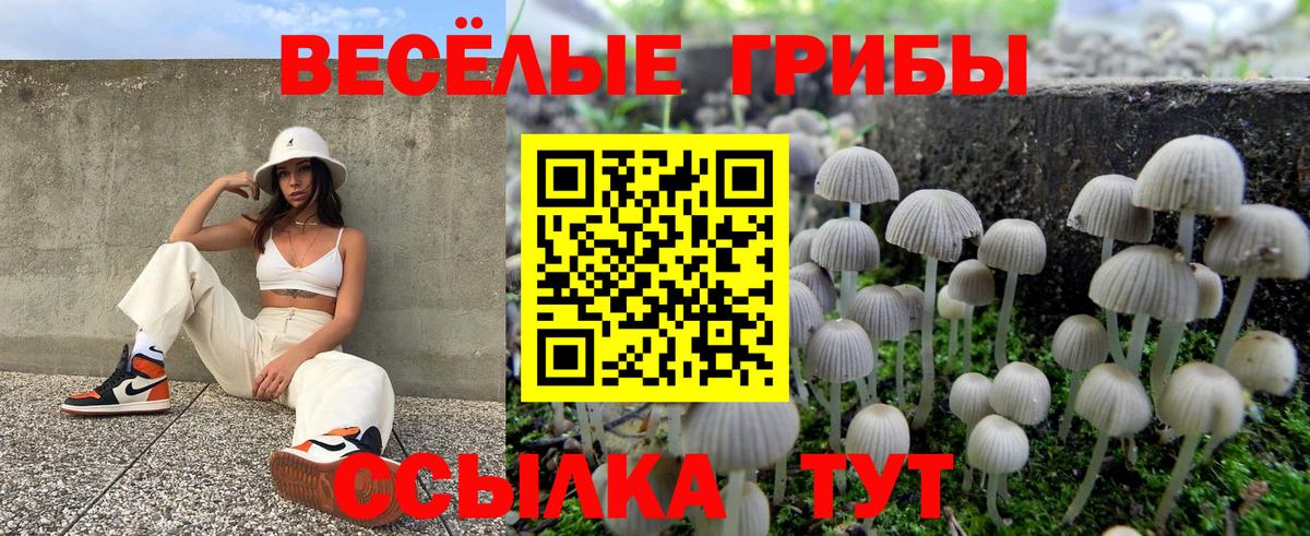 Псилоцибиновые грибы Psilocybe Обь