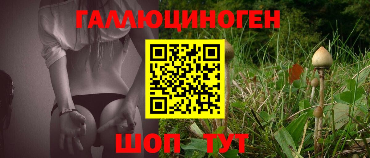 Галлюциногенные грибы Psilocybine cubensis  Галлюциногенные грибы Magic Shrooms  Обь  Вход с VPN 